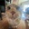 Thumbnail img 8160